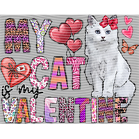 Valentine's Day-QRJ  5923